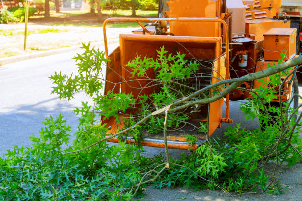 Best Tree Branch Trimming  in Jenks, OK